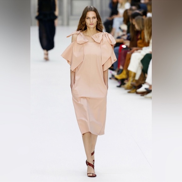 NWT CHLOÉ Ribbon Sleeve Shift Dress – Dusty Pink –
Runway Collection - Picture 1 of 6